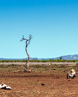 Drought Project