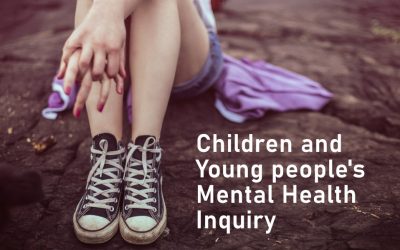 Children and Young People’s Mental Health Inquiry – Submission of evidence