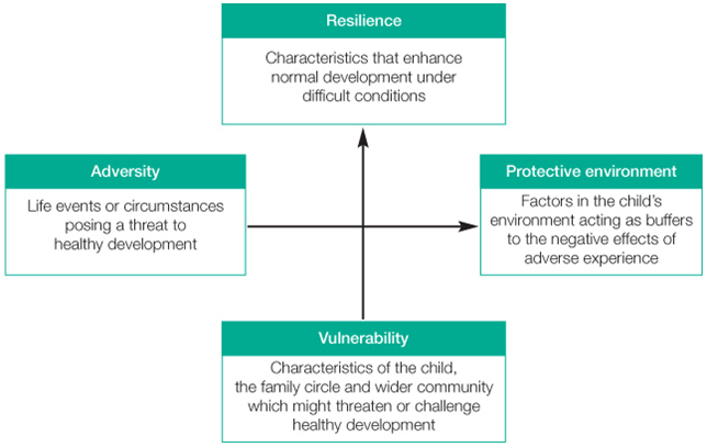 Resilience Factors